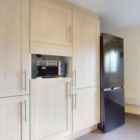 L'alsacienne 公寓 科尔马