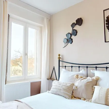 L'alsacienne * 科尔马